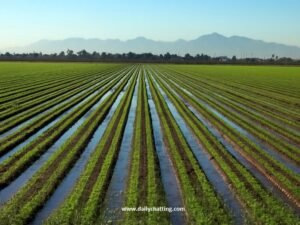 what-is-irrigation-definition-types-importance