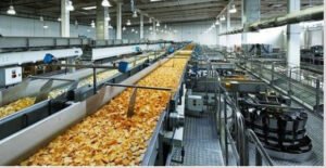 food-processing-industry-definition-types-importance